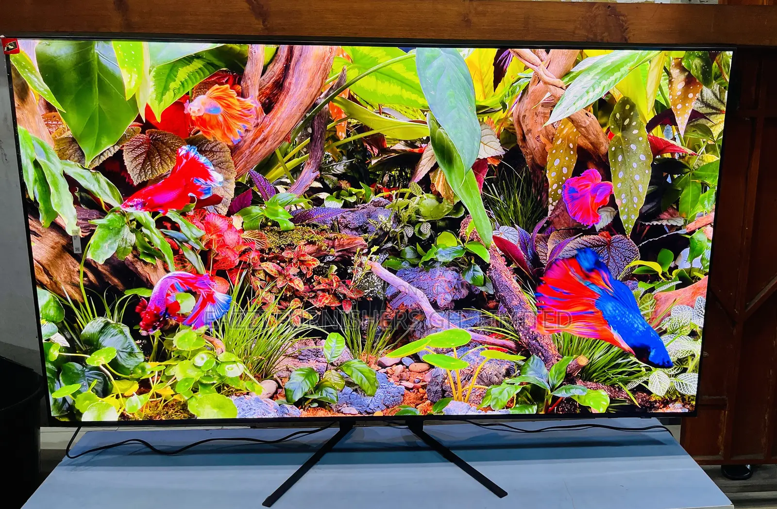 Vibrant Color Samung Oled Tv at 144 Hz 65 / 55 Inches Smart HDR Uhd