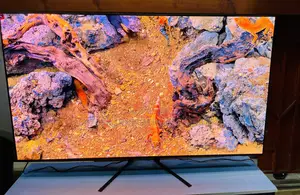 High Vibrant Color Samung Oled Tv at 144 Hz 65 Inches Smart HDR Uhd