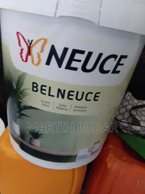 Neuce White Paint