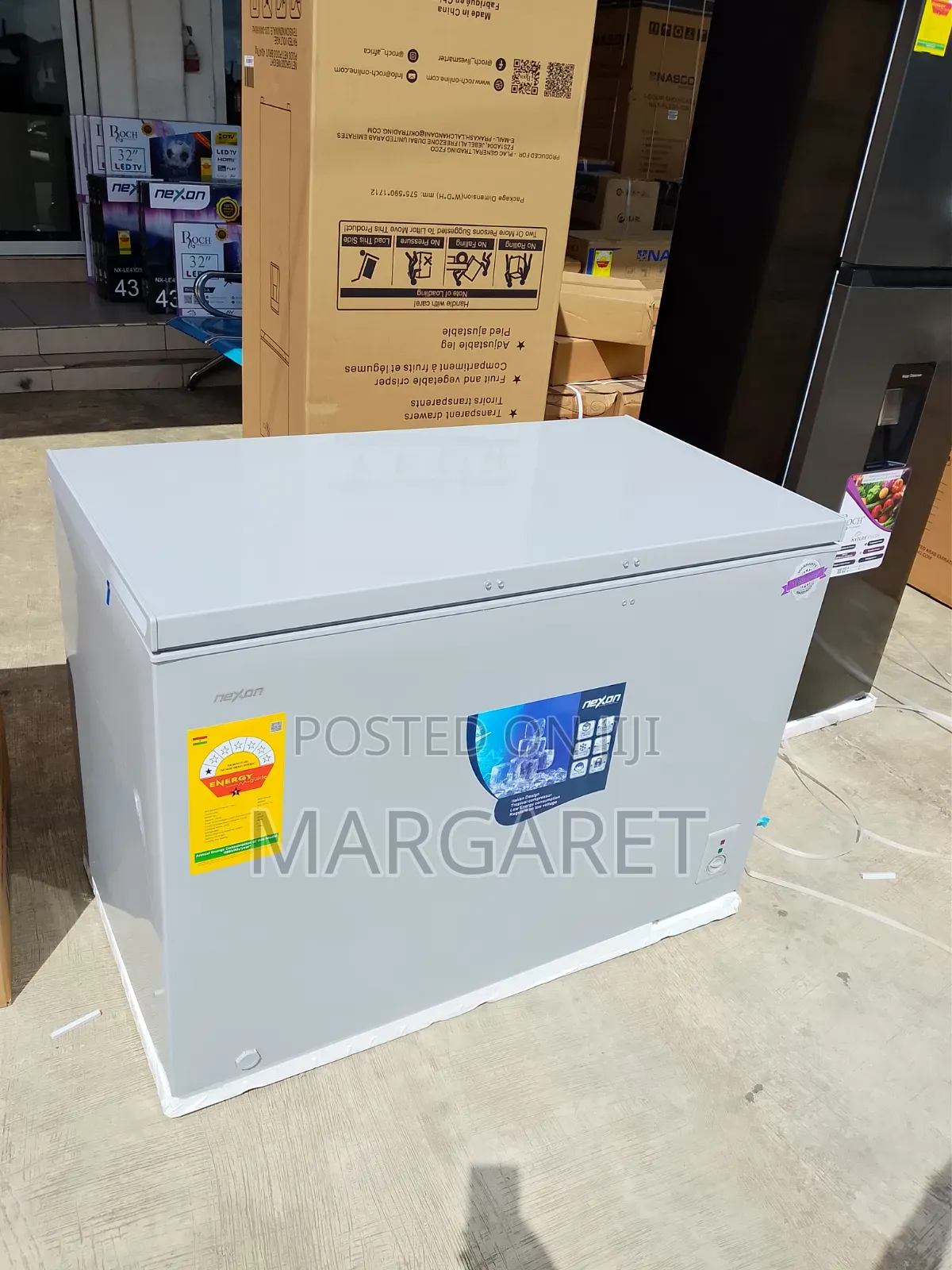 Original Roch 254 Litters Chest Freezer With Low Energy Consumption