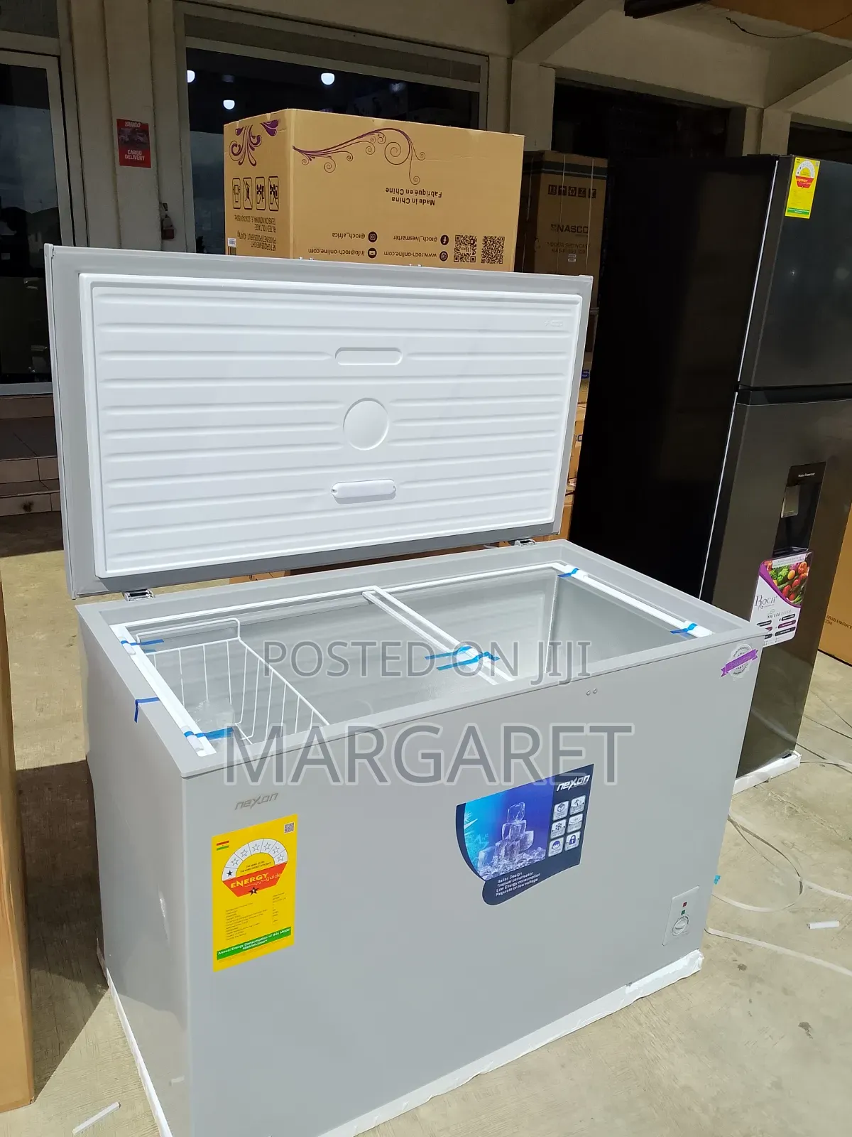 Original Roch 254 Litters Chest Freezer With Low Energy Consumption