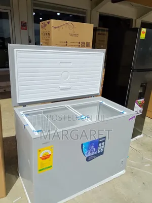 Original Roch 254 Litters Chest Freezer With Low Energy Consumption