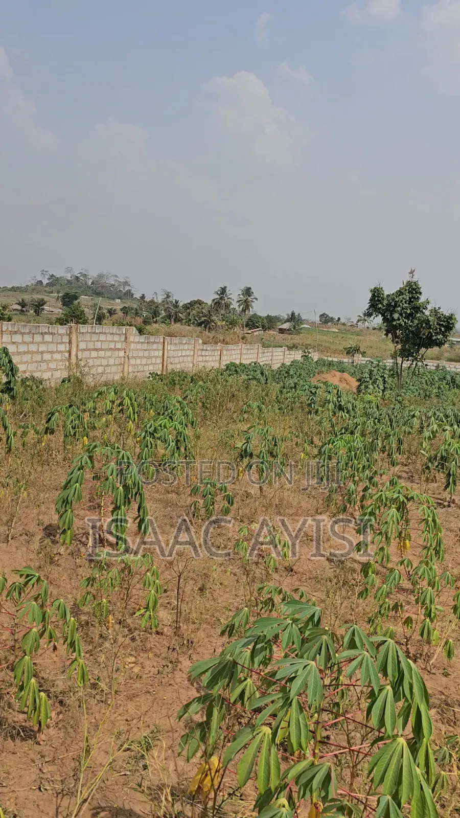 6 and Half Plots for Sale