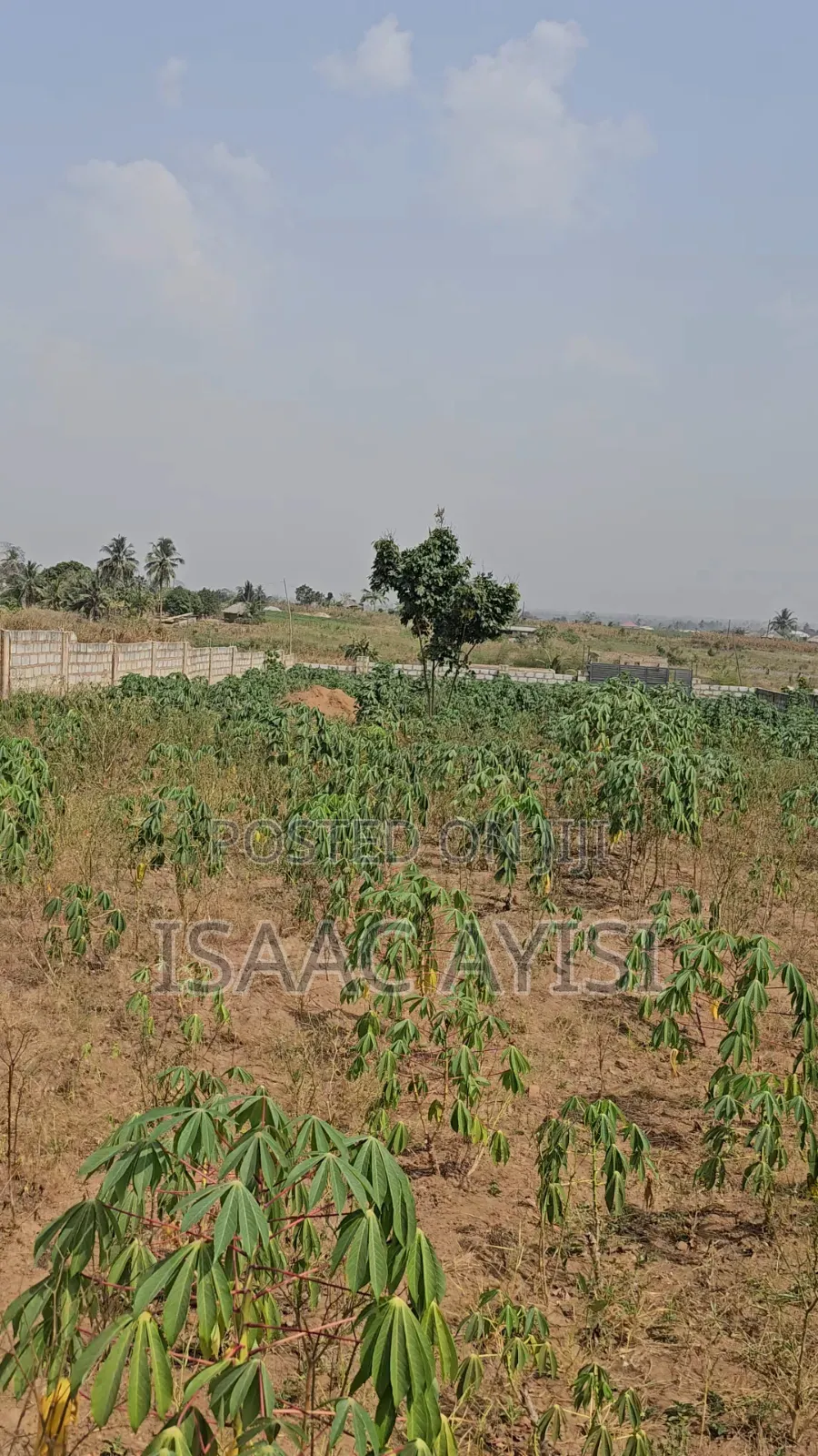 6 and Half Plots for Sale