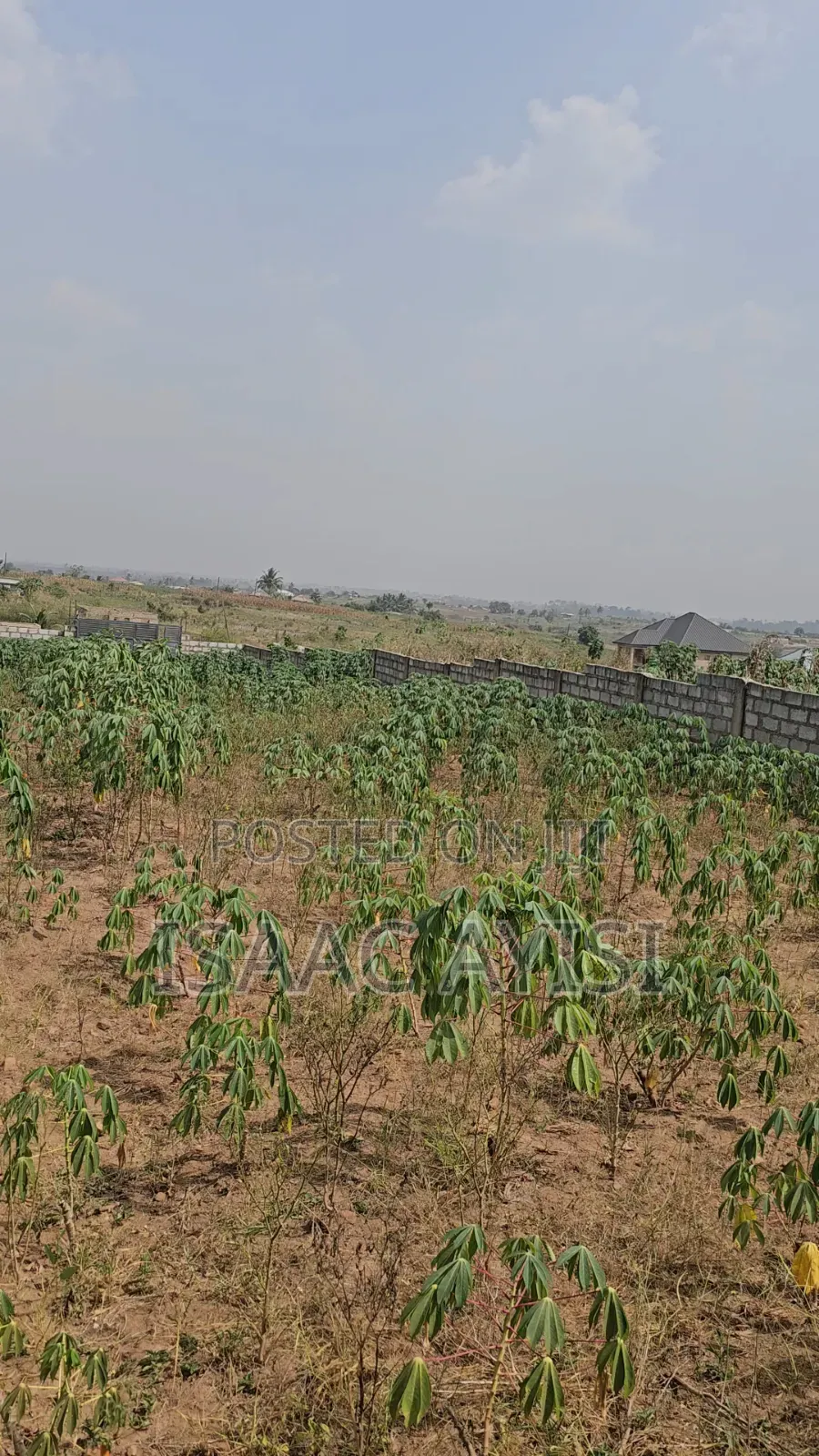 6 and Half Plots for Sale