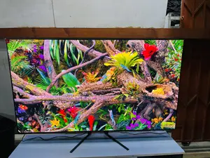 High Vibrant Colour Gaming Rate 144 Hz Samsung 65 Inche Oled 2025 Tv