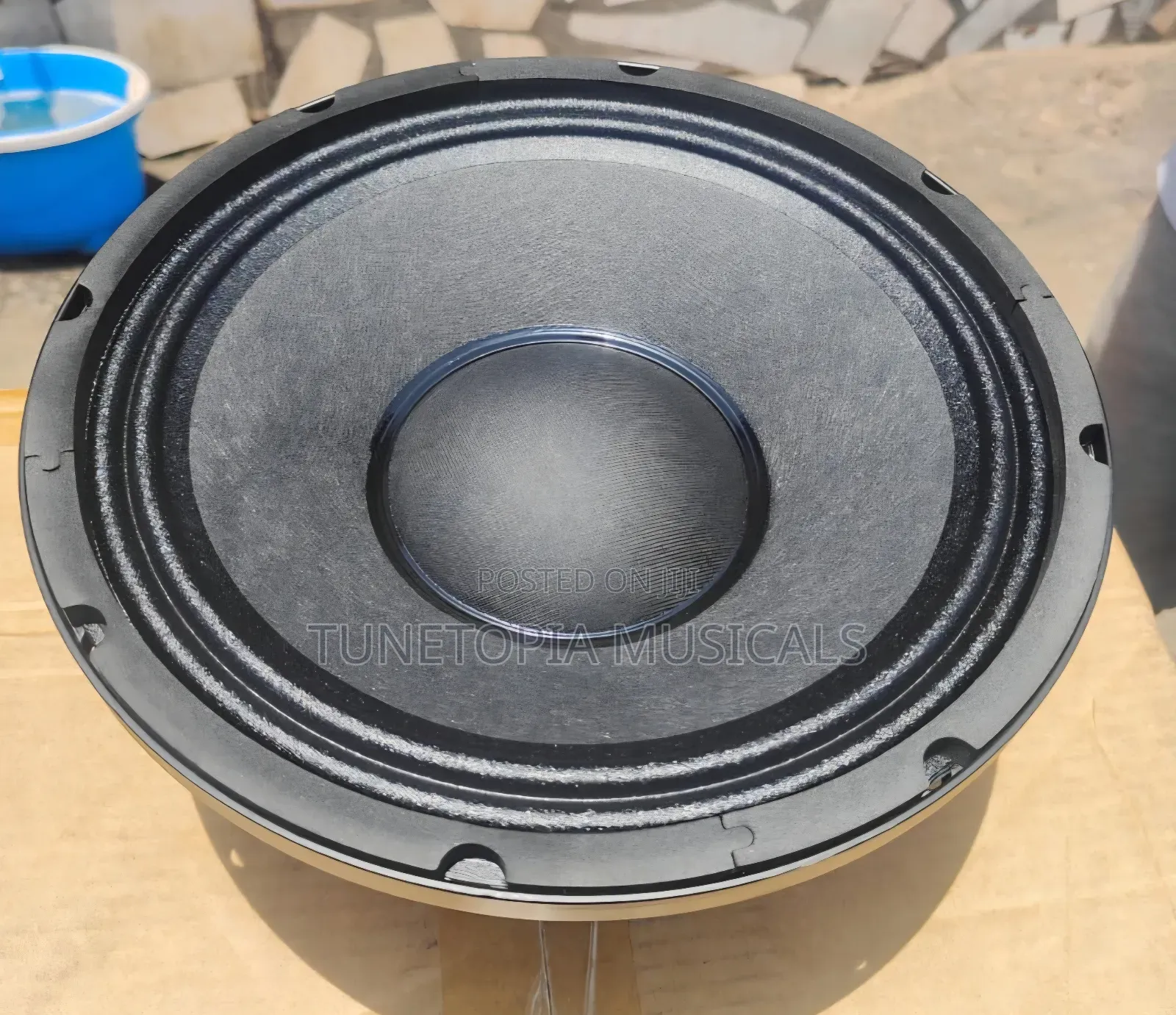 Jac Ms10h97e 10-Inch Double Magnet Professional Naked Speaker (1pair)