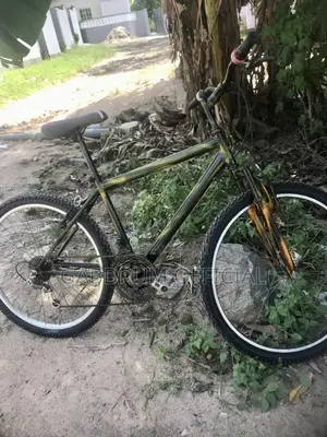 Moutain Bicycle