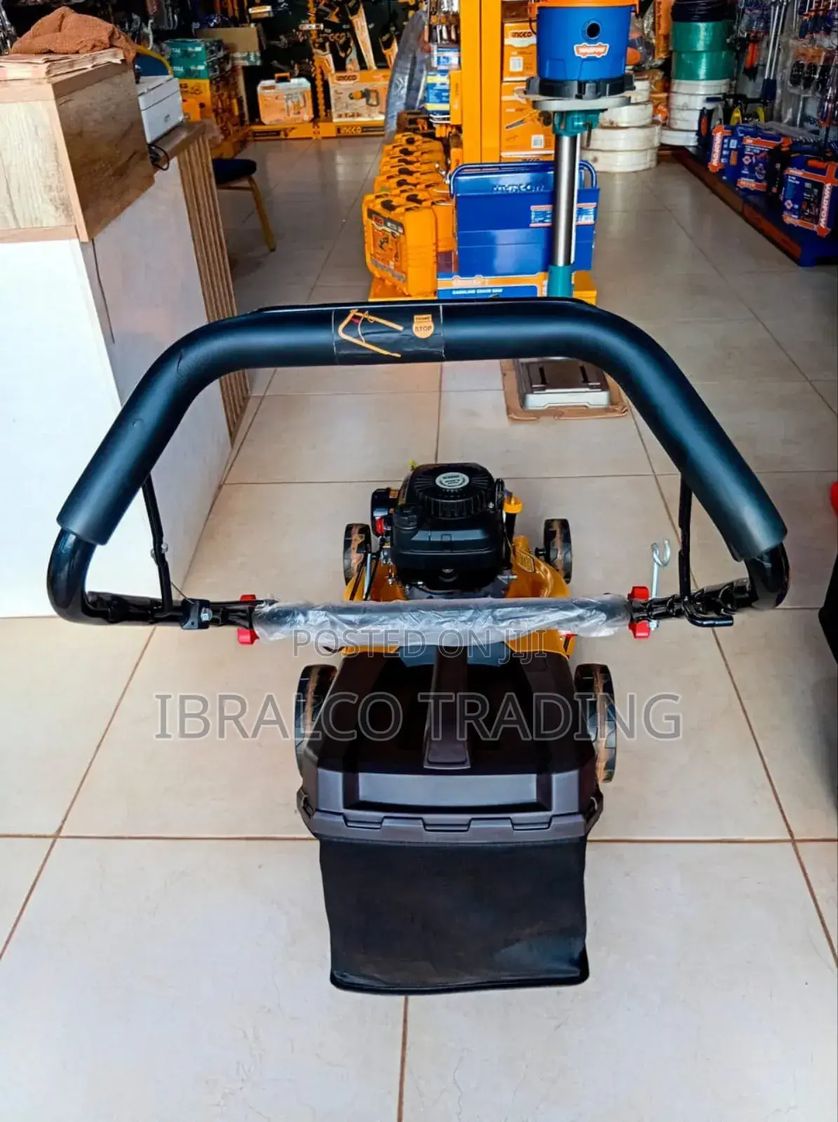 Ingco Gasoline Lawn Mower