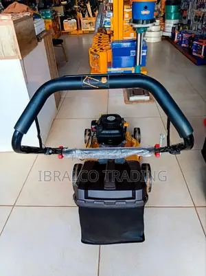 Ingco Gasoline Lawn Mower