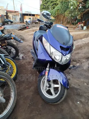 Bourget Kruzer Bagger 2020 Blue