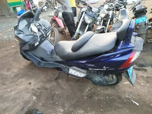 Bourget Kruzer Bagger 2020 Blue
