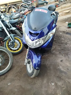 Bourget Kruzer Bagger 2020 Blue