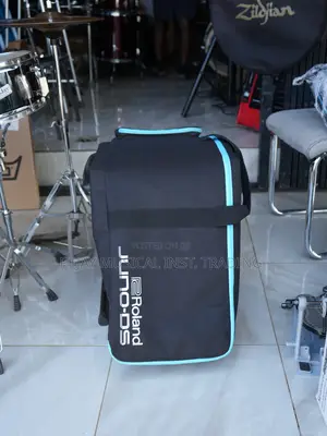 Original Roland Juno Ds 61 Keyboard Bag (Used Clean)_ Kumasi