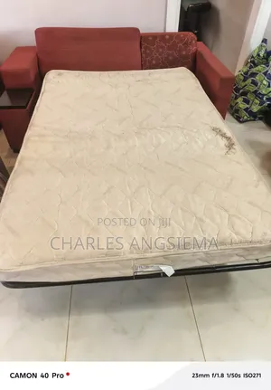 Home Used Sofa