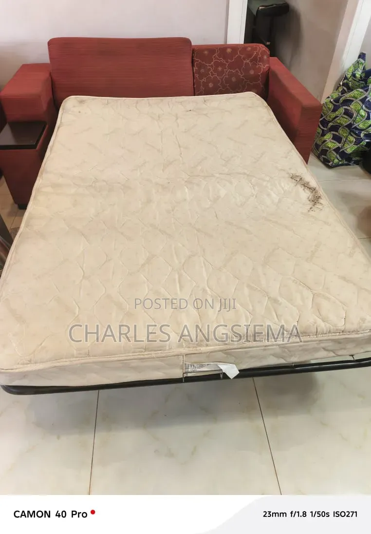 Home Used Sofa