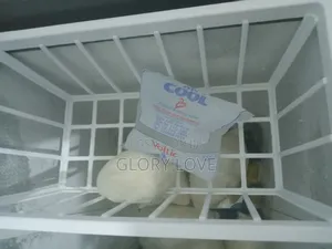 100l Bright Cool Chest Freezer