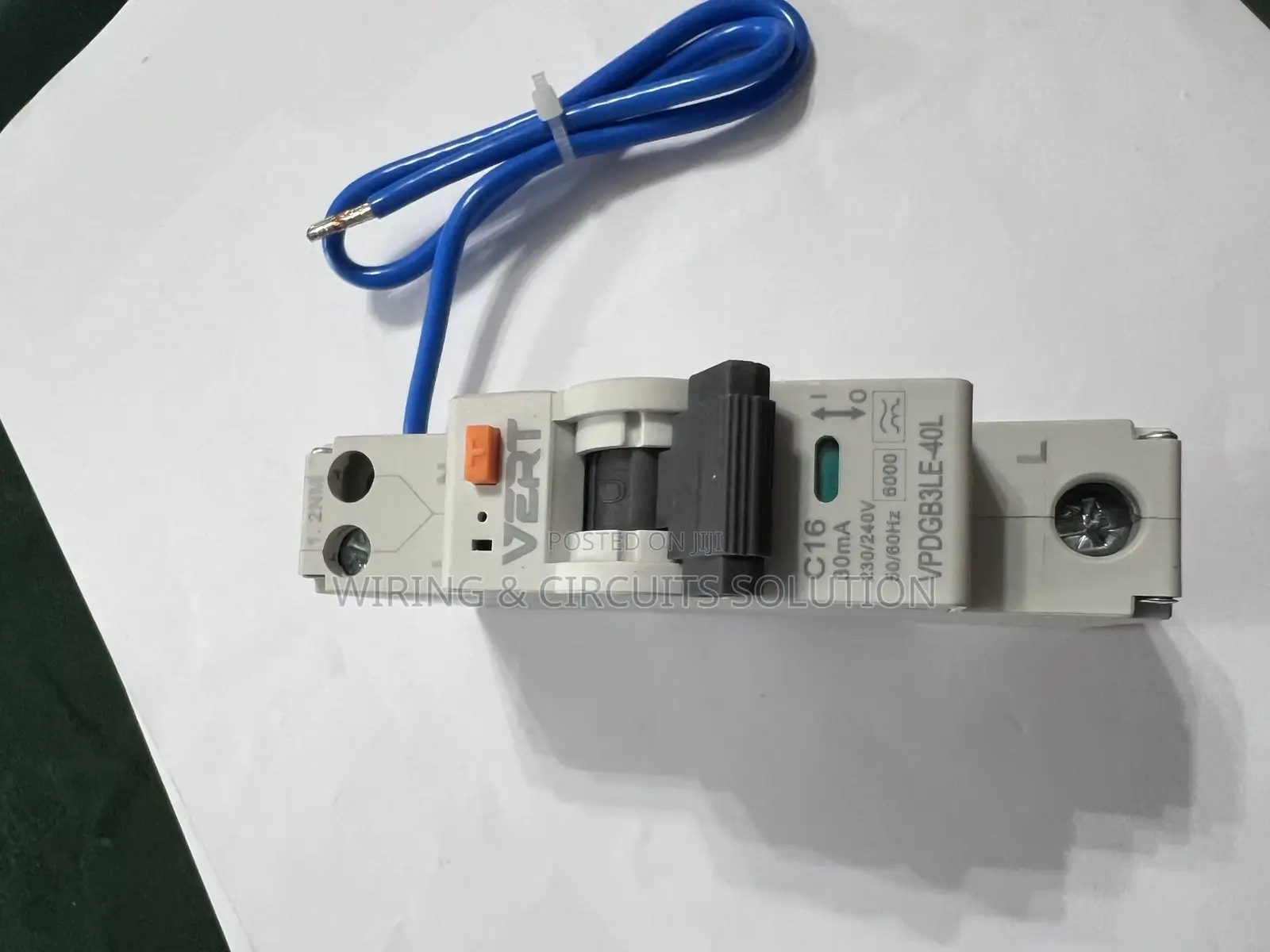 Vert Type a Rcbo 16 Amp 1p+N 30ma C Curve Vpdgb3le-4ol