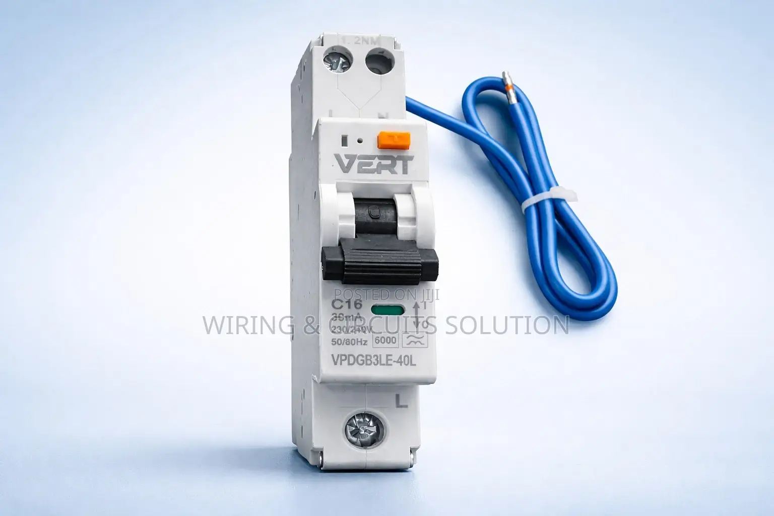 Vert Type a Rcbo 16 Amp 1p+N 30ma C Curve Vpdgb3le-4ol