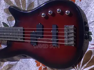 Bass Guitar