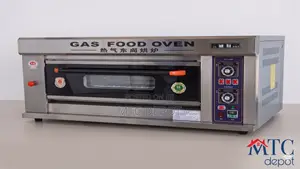 1 Layer 2 Trays Gas Oven
