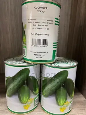 F1 Cucumber Seeds