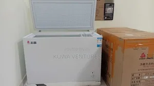Chigo 330 Liters Freezer (Fresh in Box)