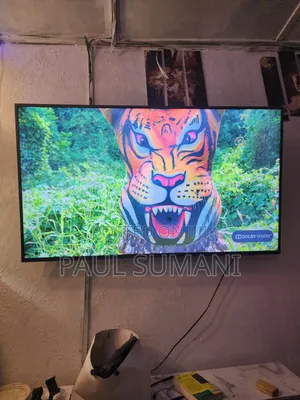 Philips 65-Inch Smart Television
