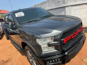 Ford F-150 Lariat 4x4 SuperCab Styleside 8 ft. box 163 in. WB 2016 Gray