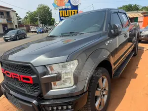 Ford F-150 Lariat 4x4 SuperCab Styleside 8 ft. box 163 in. WB 2016 Gray