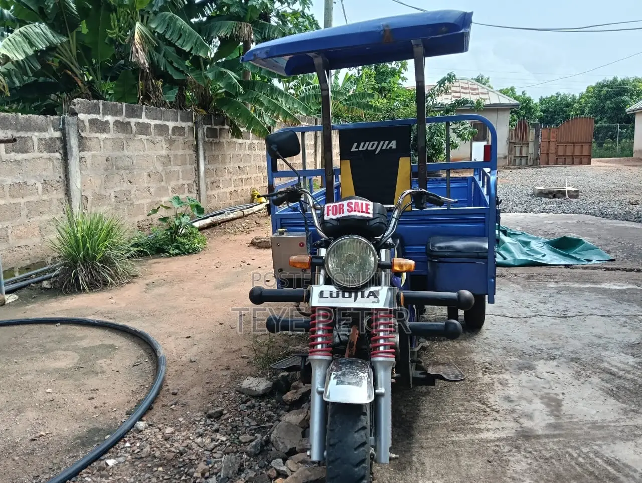 Luojia Cargo Tricycle 2025 Blue