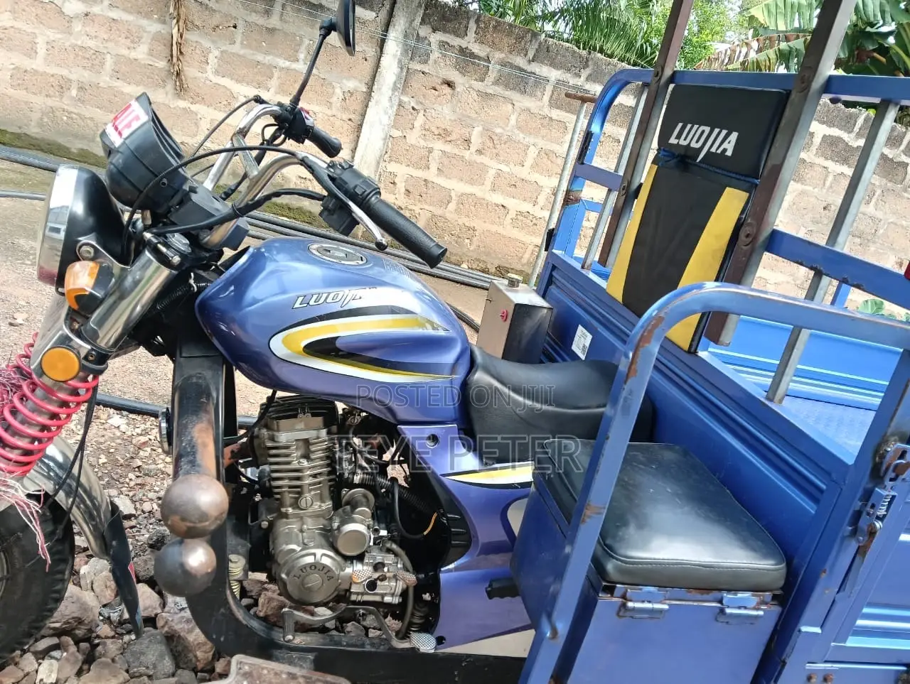 Luojia Cargo Tricycle 2025 Blue