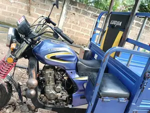 Luojia Cargo Tricycle 2025 Blue