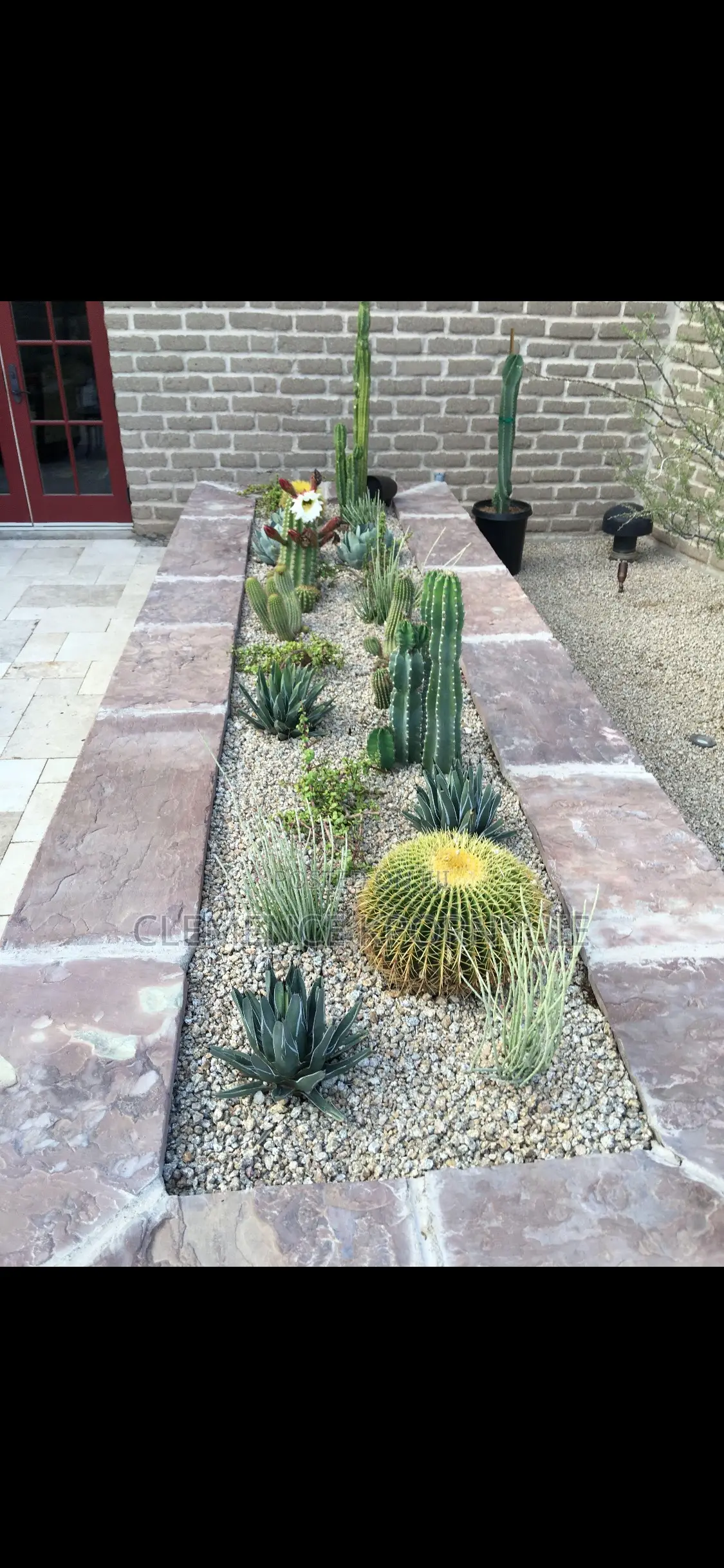 Garden Services