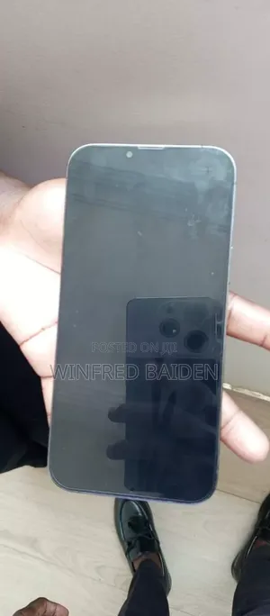 Apple iPhone 13 Pro Max 256 GB Gray