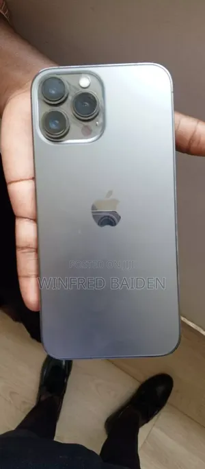Apple iPhone 13 Pro Max 256 GB Gray