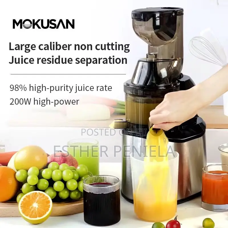 Slow Juicer