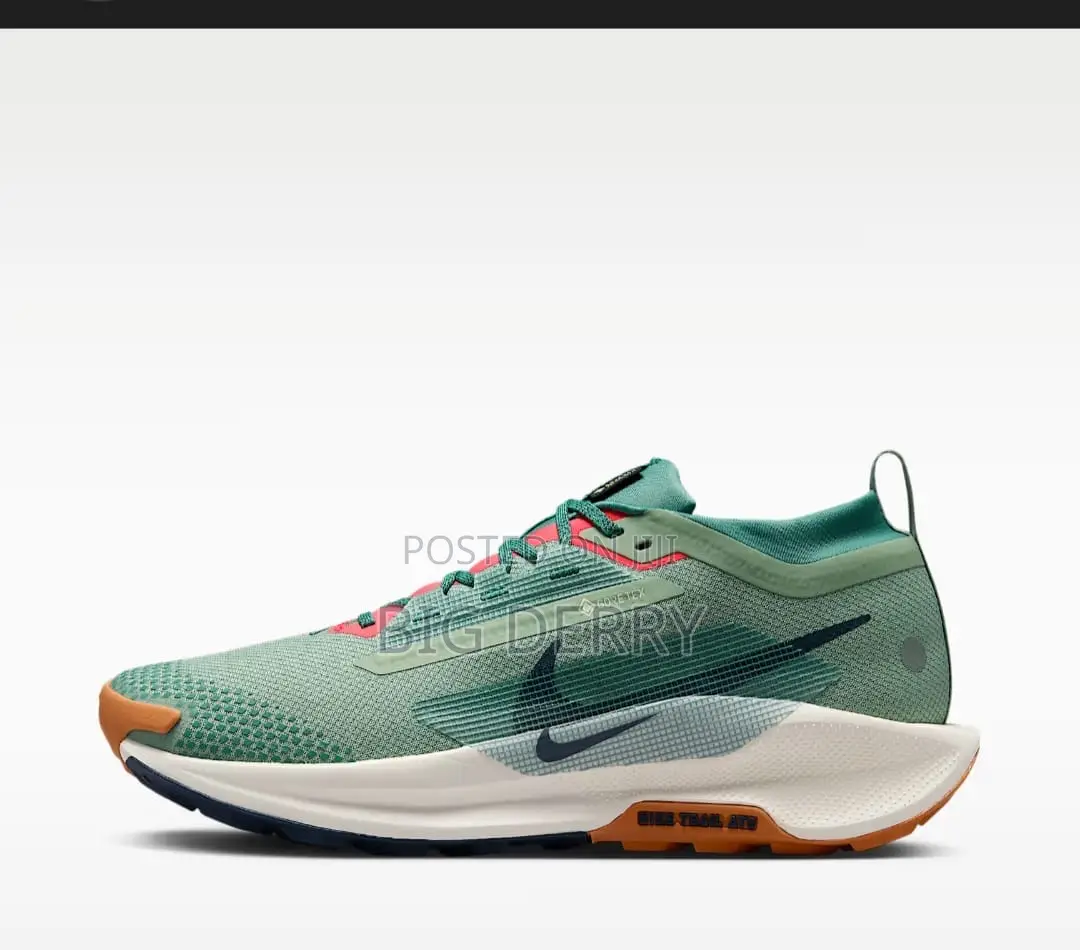Nike Pegasus Trail