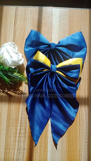 Hair Clip Bows