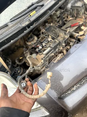Auto Electrician