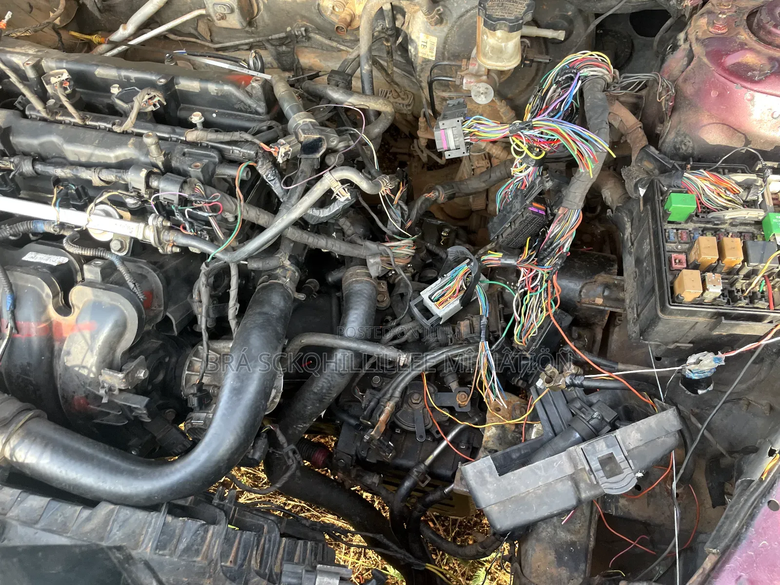 Auto Electrician