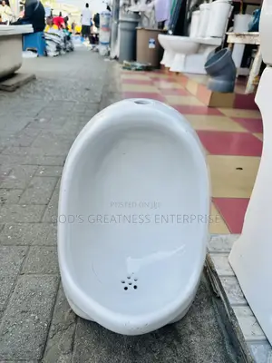 Urinal Pot