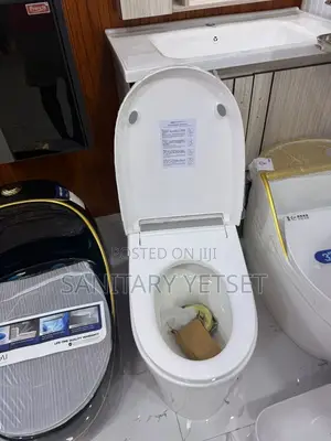 Imported Smart Wc
