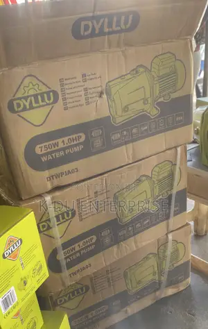 Dyllu Jet Water Pump 1.0hp