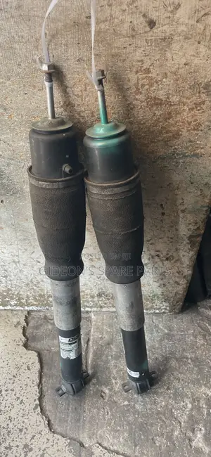 Cadillac DTS Back Shock Absorber 2006-2011