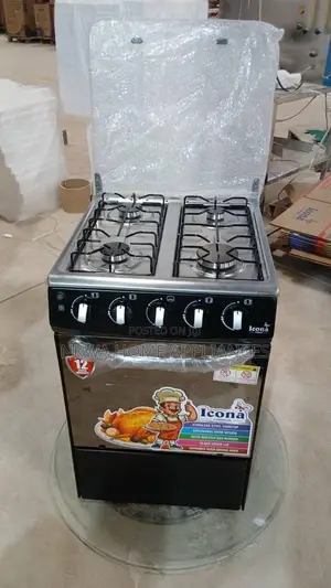 Auto Ignition Gas Oven