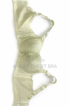 Thrift Brassieres