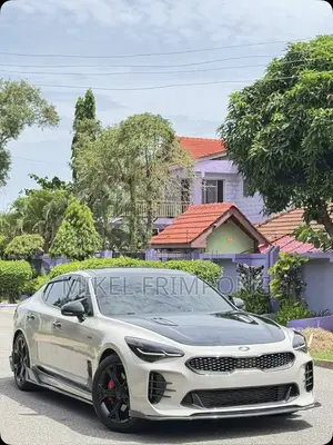 Kia Stinger 2.0 Petrol AWD 2021 Gray