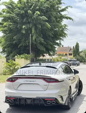 Kia Stinger 2.0 Petrol AWD 2021 Gray