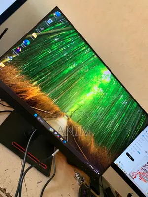 Thinkvision 24 Inches QHD Ips 2560x1440 Type-C Monitor